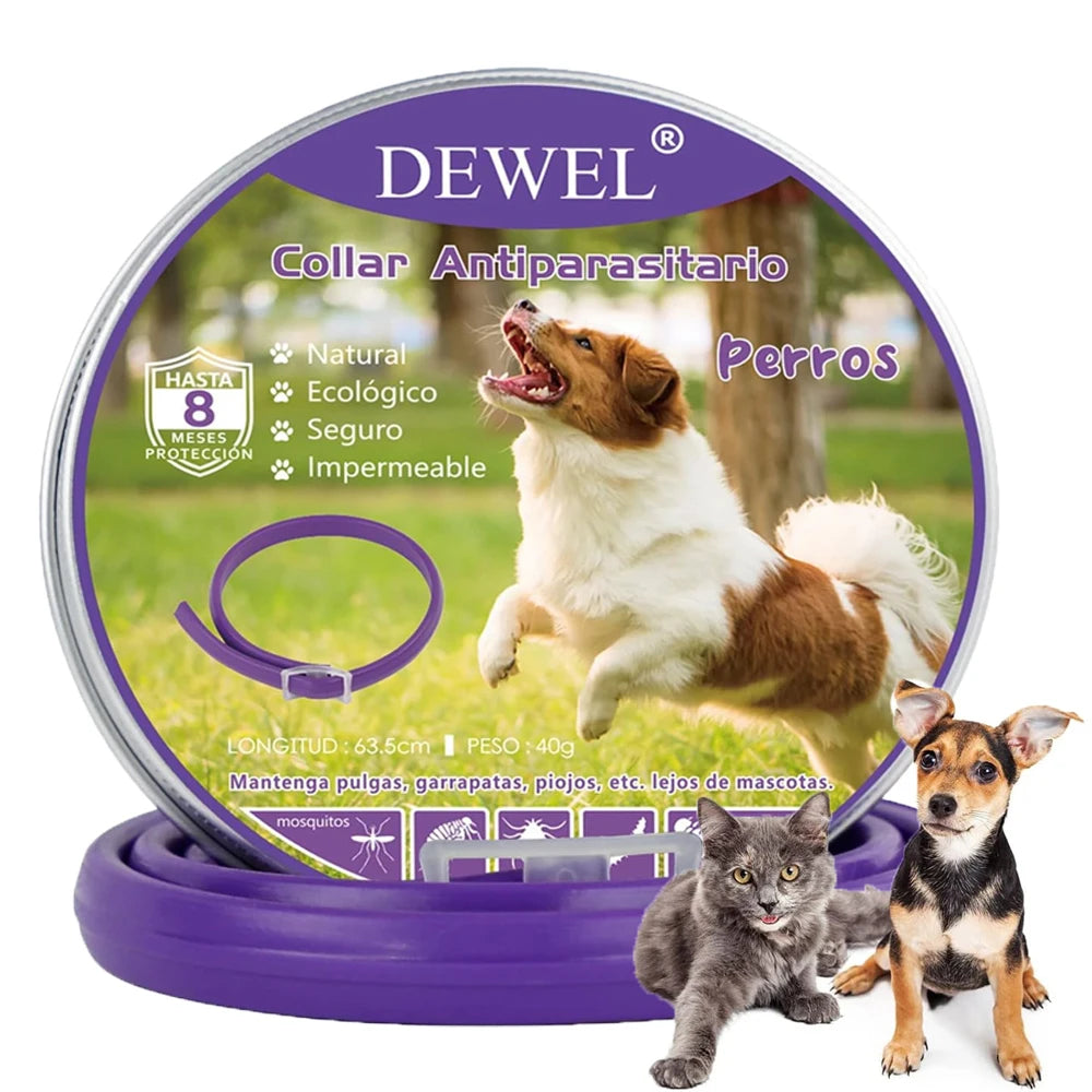 DEWEL Anti Flea Dogs Collar 8 Months Effective Protection Natural Safe