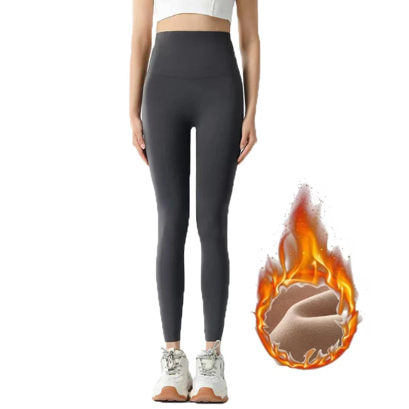 C.New S Autumn Winter High Waist Shark Leggings Women's Seamless