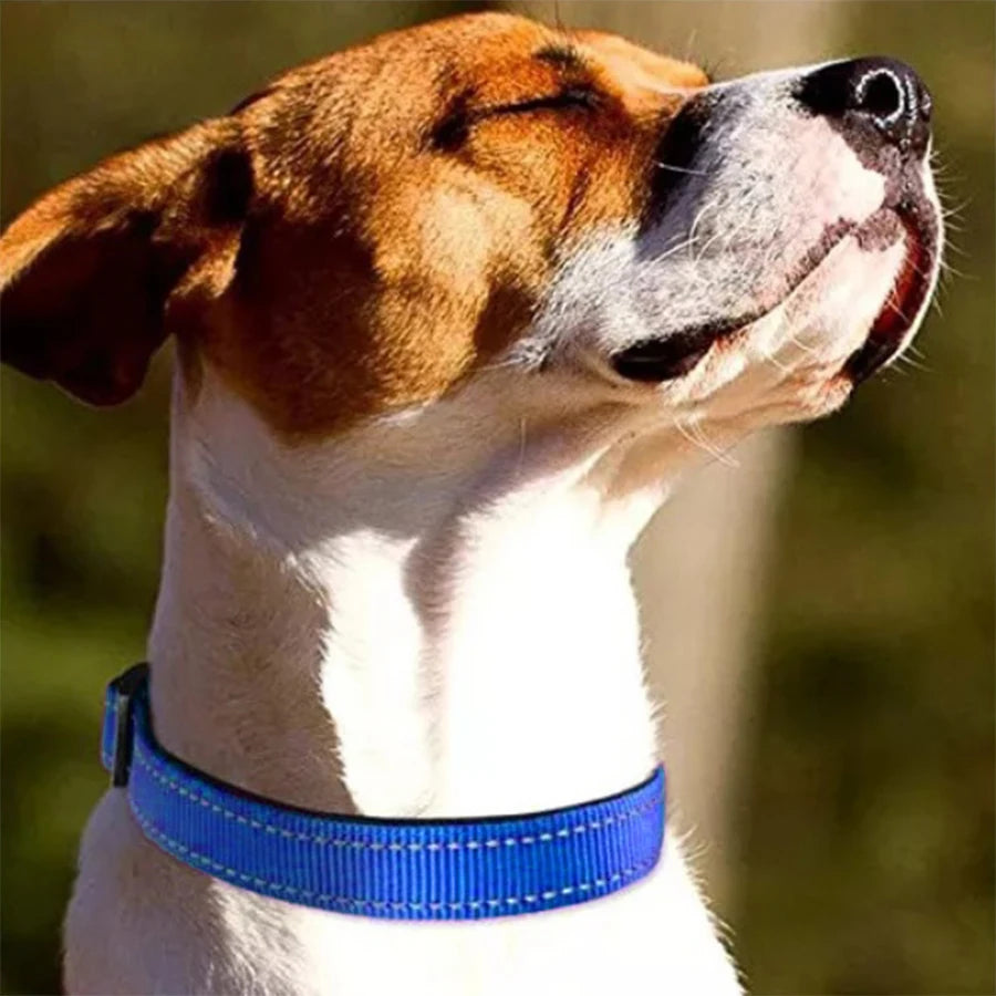 Reflective Dog Collar Soft Padded Breathable Safety Stripes Adjustable