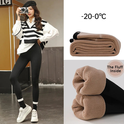 C.New S Autumn Winter High Waist Shark Leggings Women's Seamless