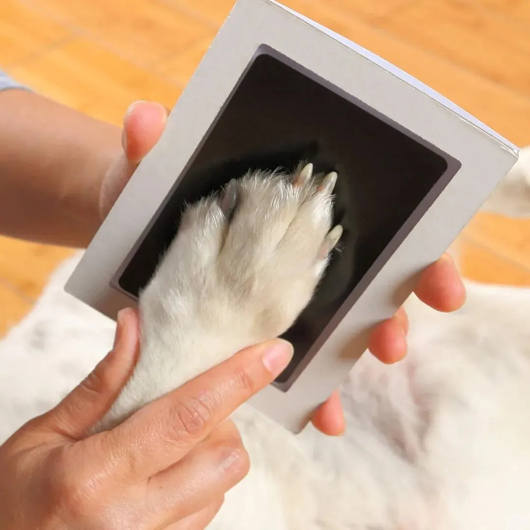 Paw Print Clean Touch Ink Pad, Dog Or Cat Pet Owner Keepsake, DIY