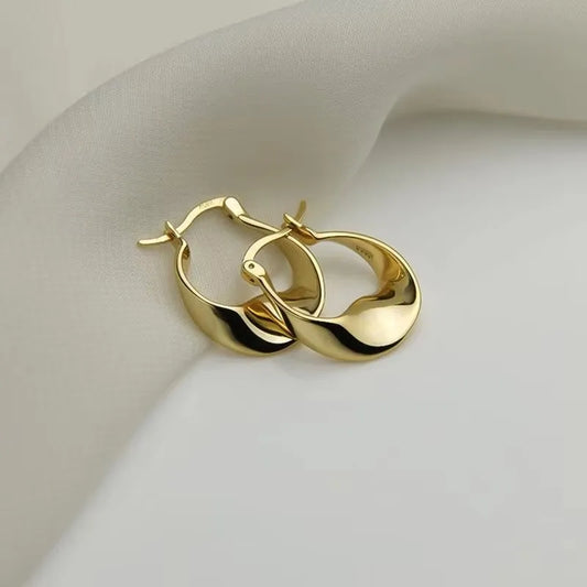 New 925 Sterling Silver Irregular Shape Earrings Charming Personalised