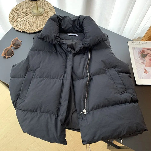 Women Fashion Autumn New 2024 Stand Collar Elegant Down Coats Warm
