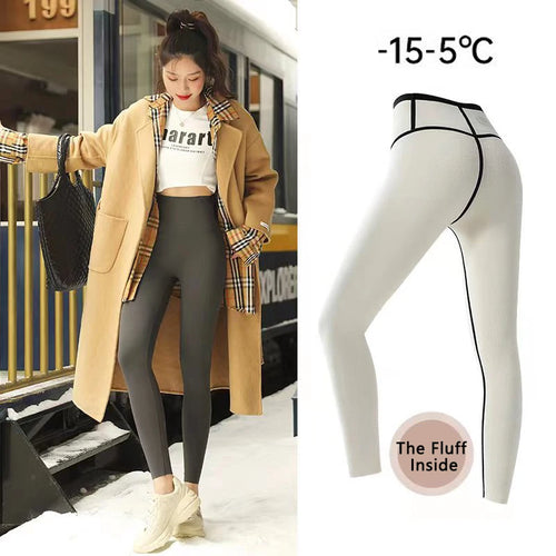 C.New S Autumn Winter High Waist Shark Leggings Women's Seamless