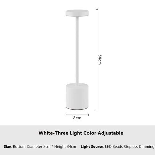 USB Rechargeable LED Table Lamp Touch Switch Three Colors Metal Desk