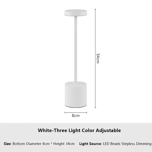 USB Rechargeable LED Table Lamp Touch Switch Three Colors Metal Desk