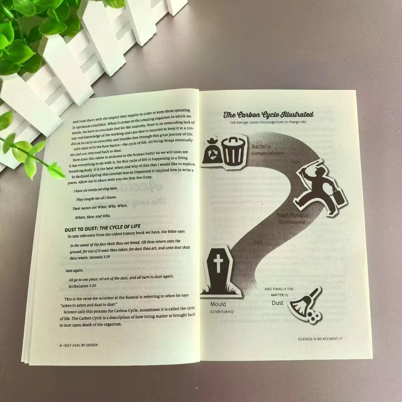 1pcs Self Heal by Design: the Role of Micro-Organisms in Health by