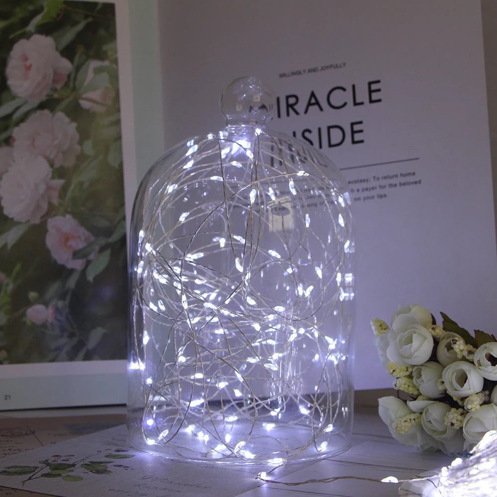 Led String Light Birthday Fairy Light USB/Battery Box Remote Garland