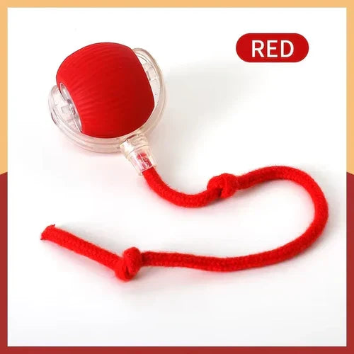 Cat toy ball self hi ball teasing cat rolling ball hair pet relieve