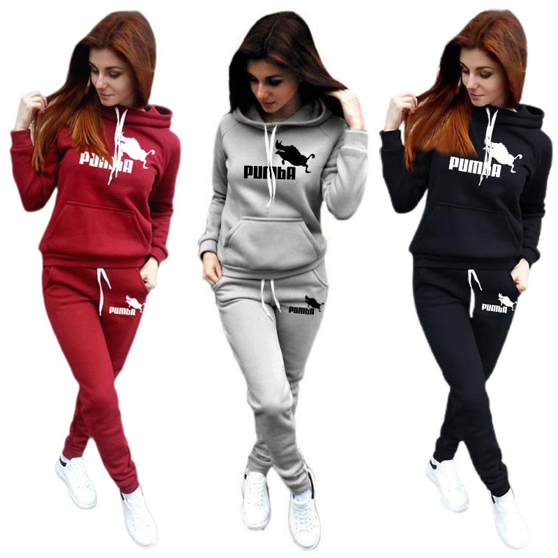 Woman Tracksuit Two Piece Set Winter Warm Hoodies+Pants Pullovers