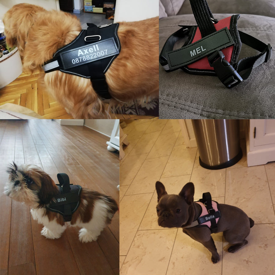 Personalized Pet Harness Collar Vest Dog's Name Labe Customized Dog