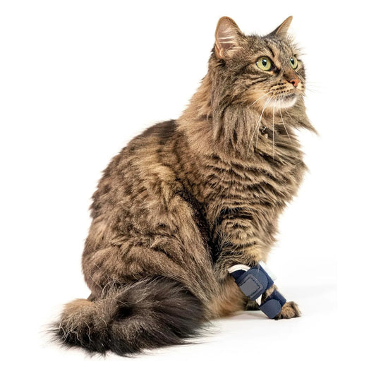 Cat Front Leg Brace for Injury Recovery - Adjustable Pet Support Sleeve for Joint, Ligament Tear - Soft Protective Wrap