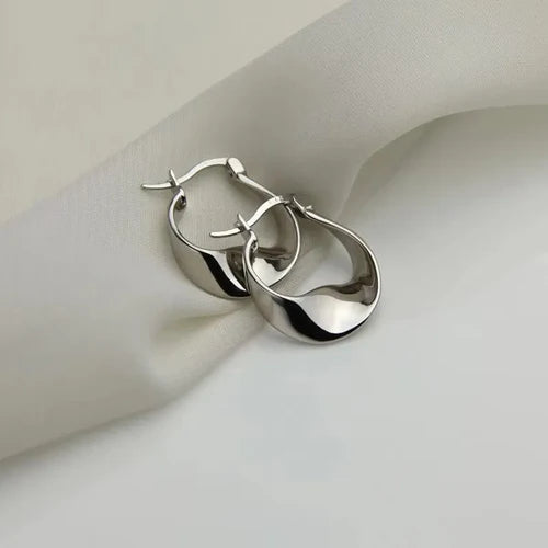 New 925 Sterling Silver Irregular Shape Earrings Charming Personalised